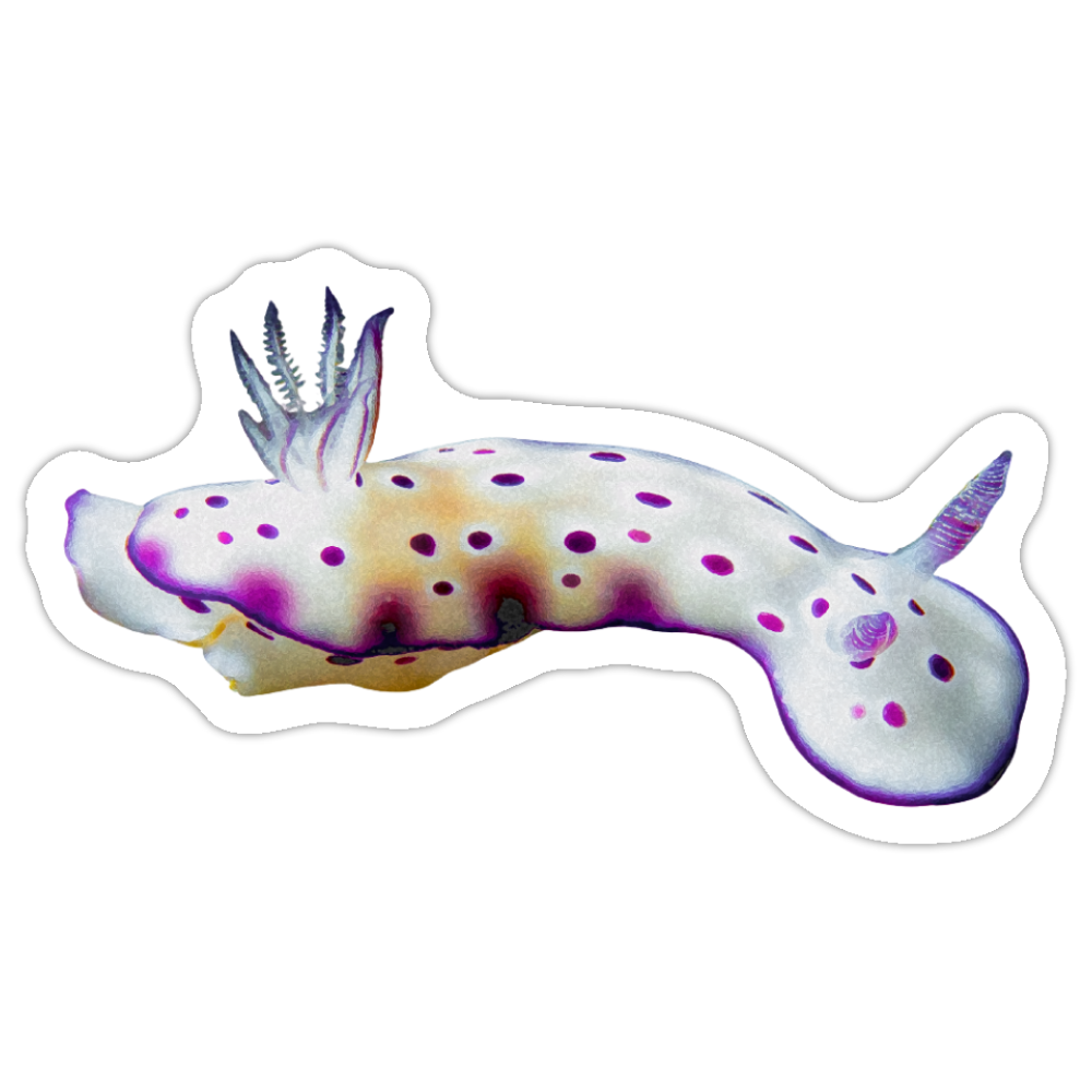 Tryoni Nudi V.png
