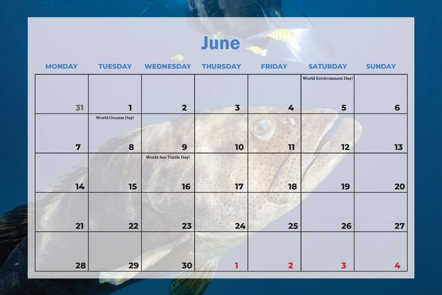 SDU 2027 Calendar (13).jpg
