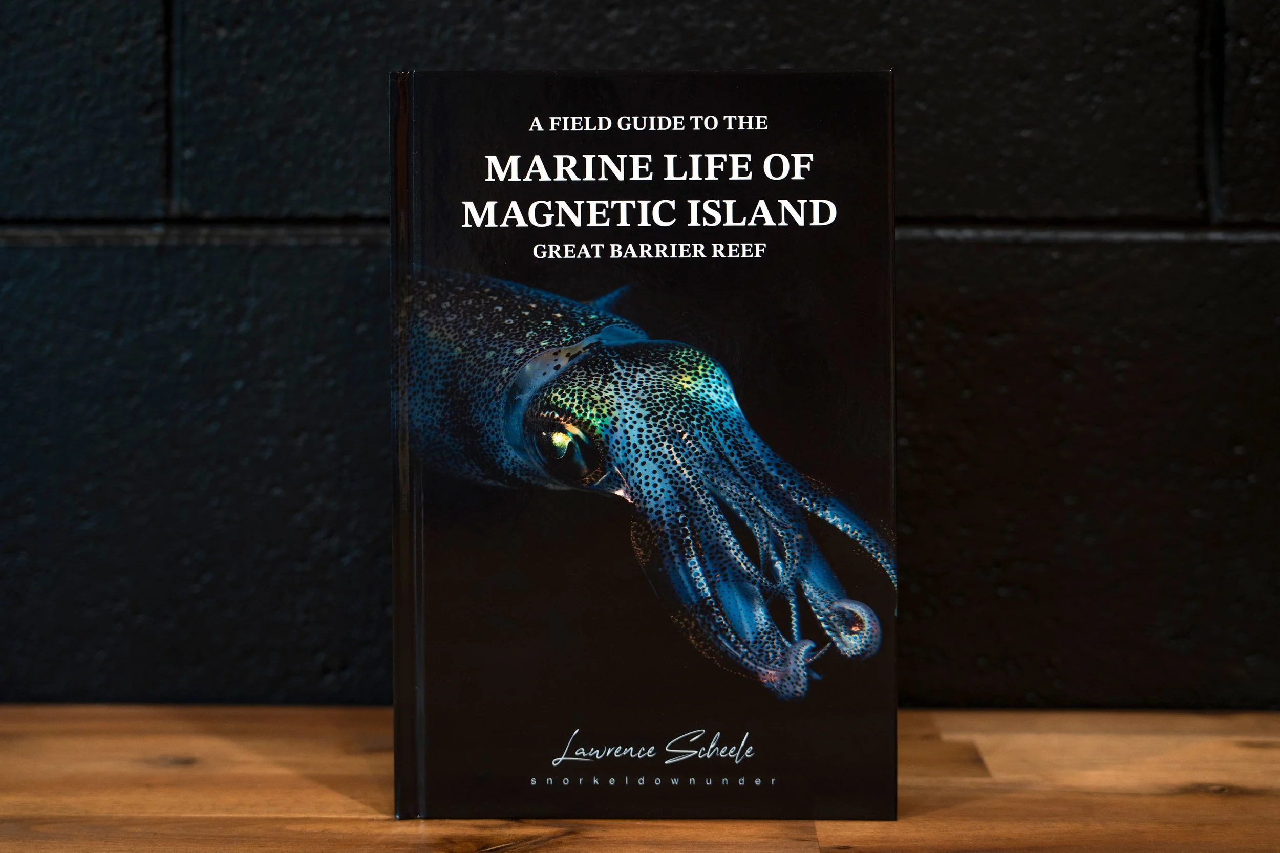 A Field Guide to the Marine Life of Magnetic Island, Great Barrier Reef by Lawrence Scheele
