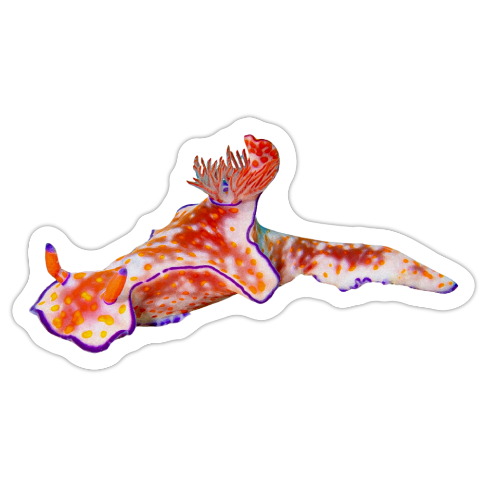 Ceratosoma trilobatum Nudibranch V.png