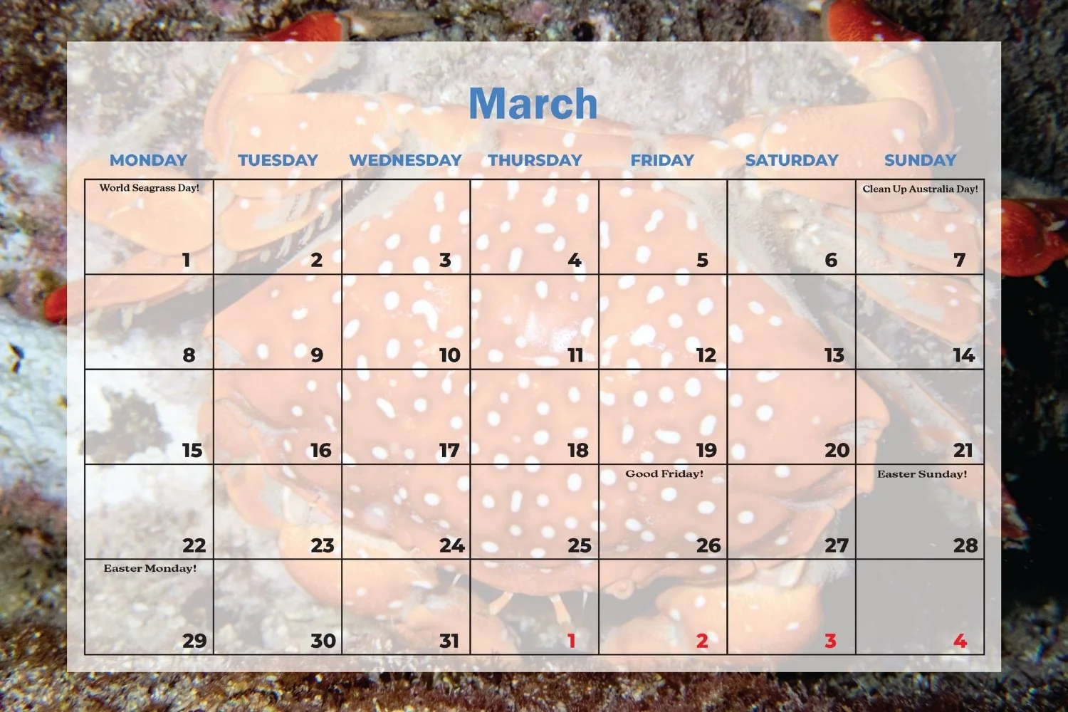 SDU 2027 Calendar (7).jpg