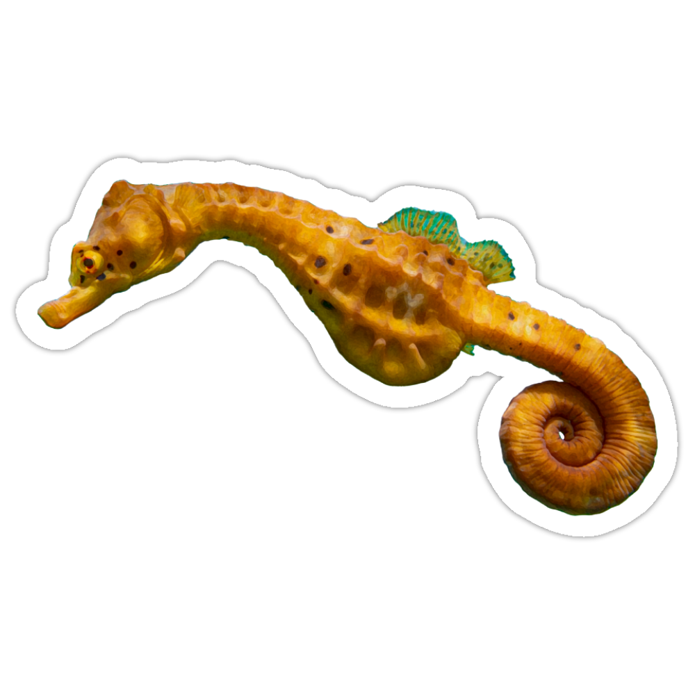 Seahorse.png