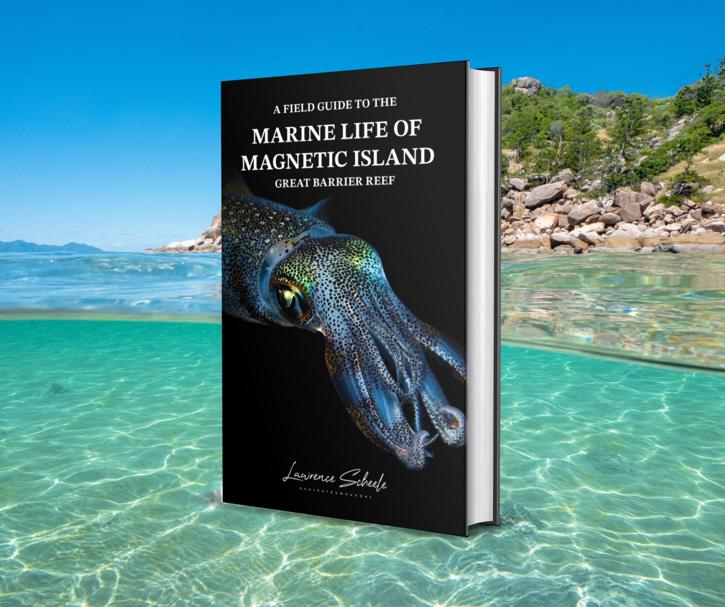A Field Guide to the Marine Life of Magnetic Island