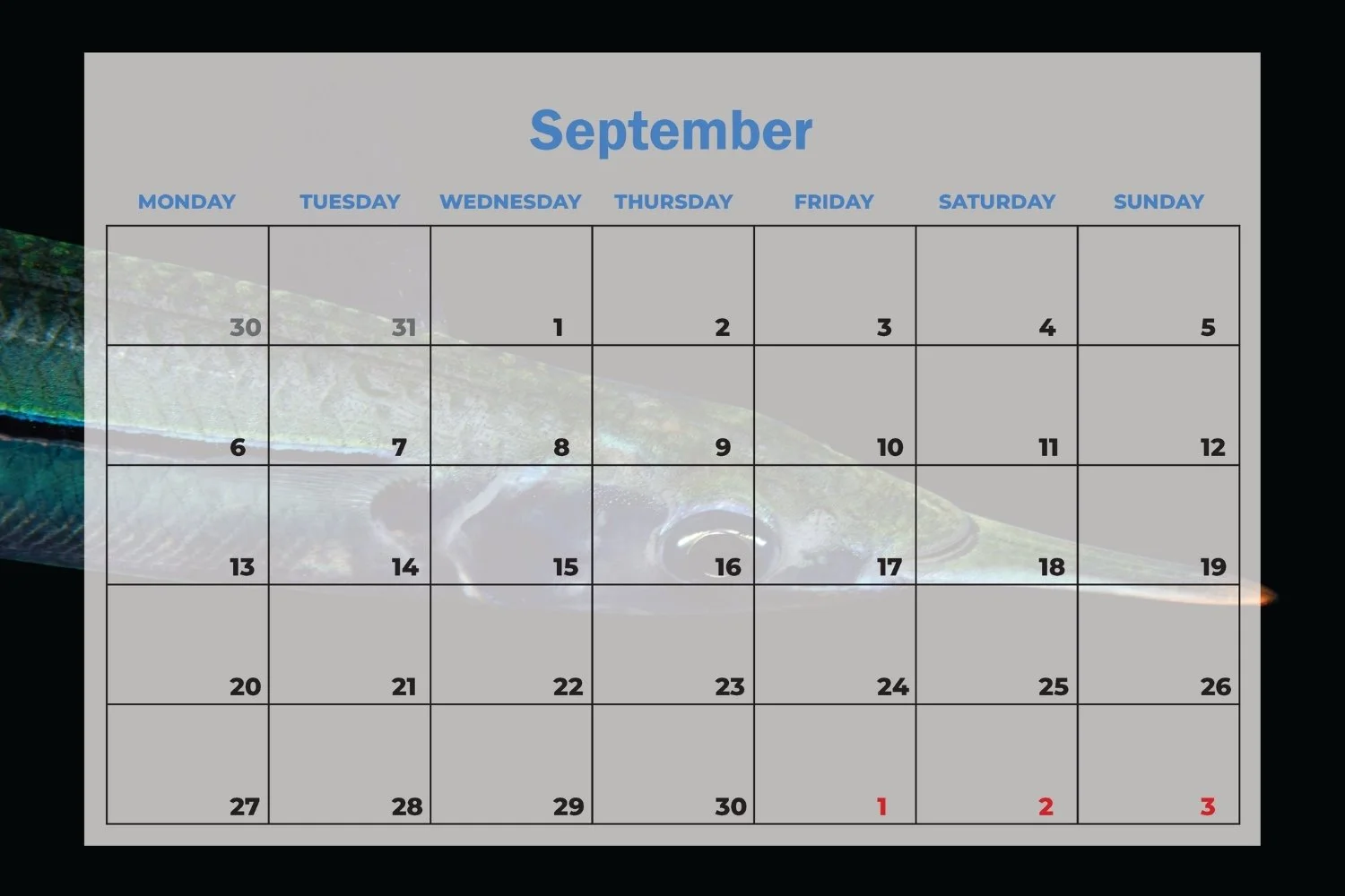 SDU 2027 Calendar (19).jpg