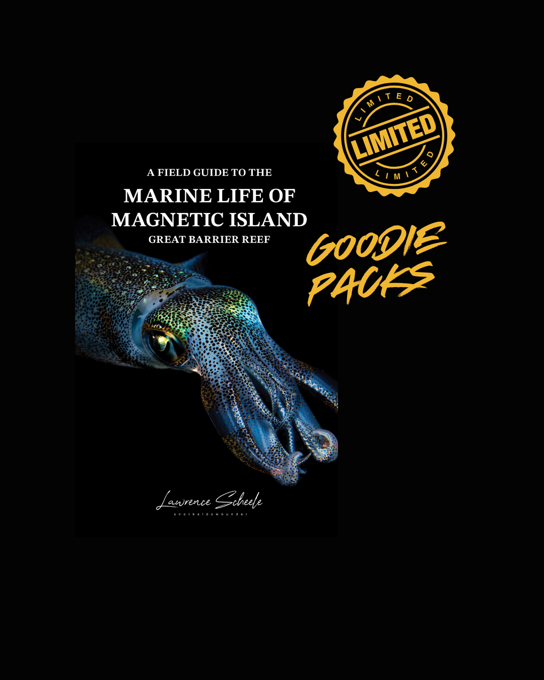 30 goodie packs left.png