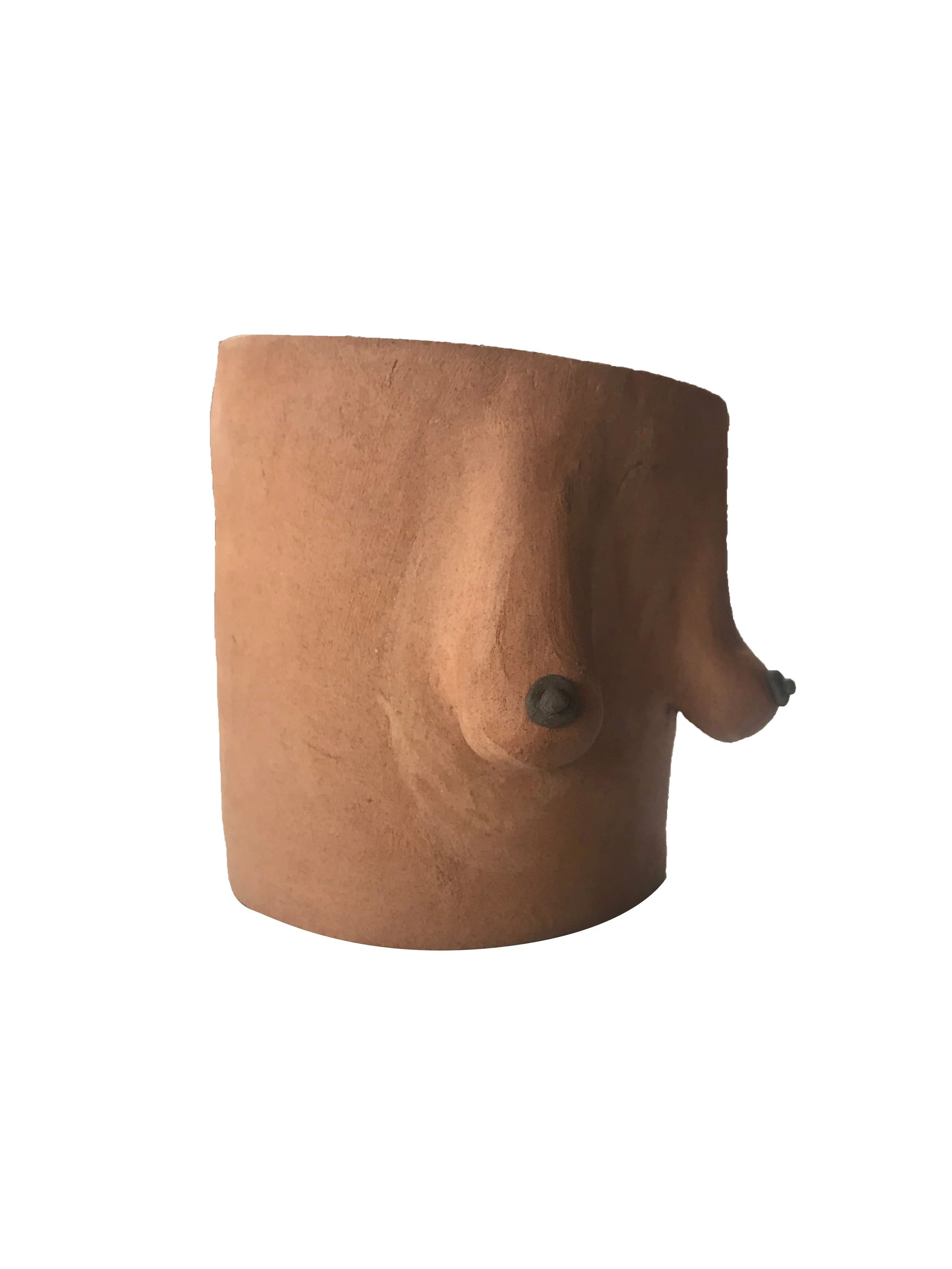 brown breasts side.jpg