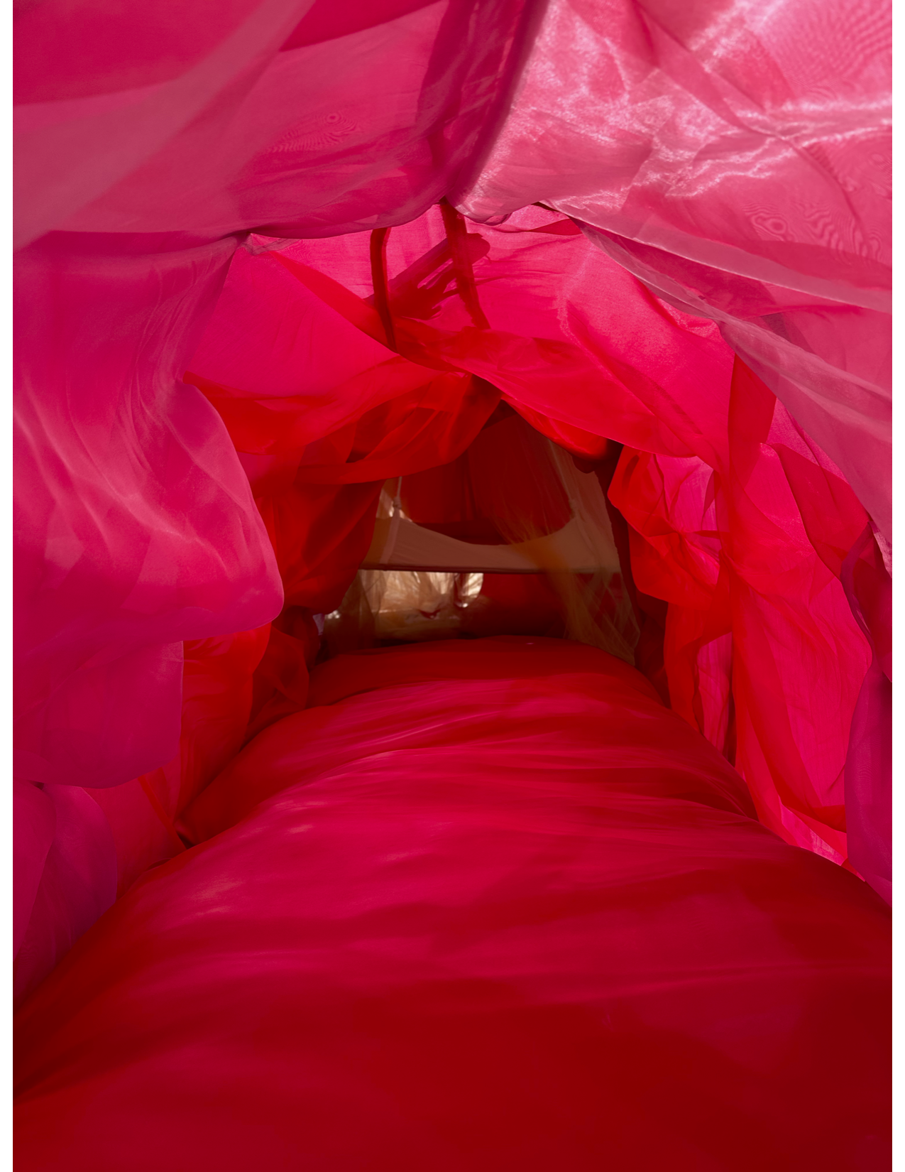 womb tunnel 1.png