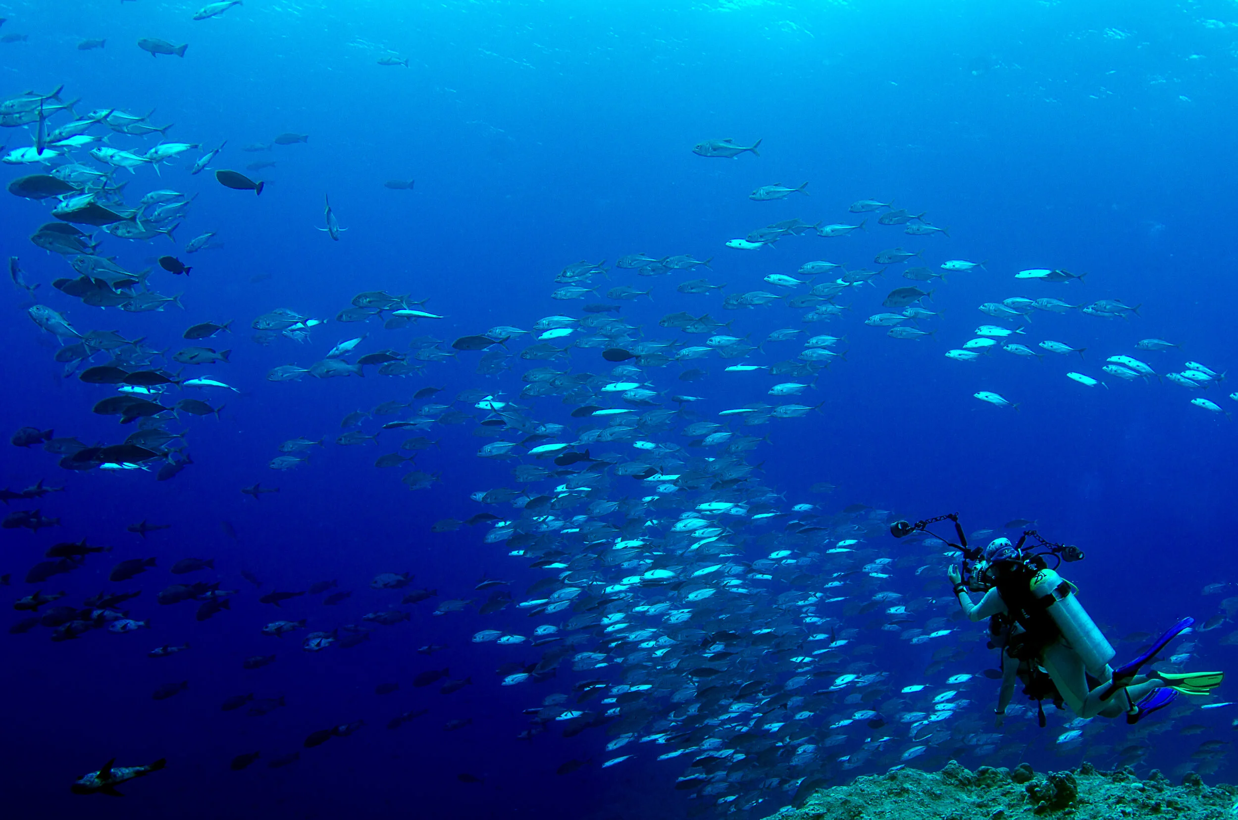 BlueCorner (8 of 11).jpg