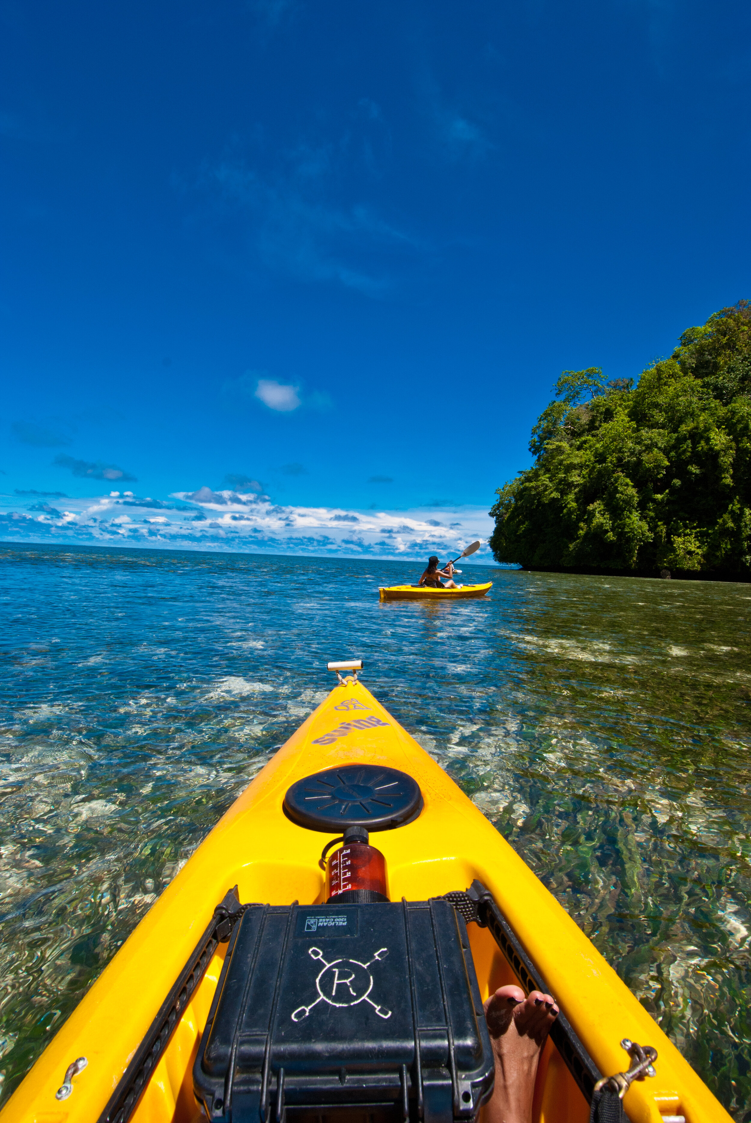 sam's dive tours palau