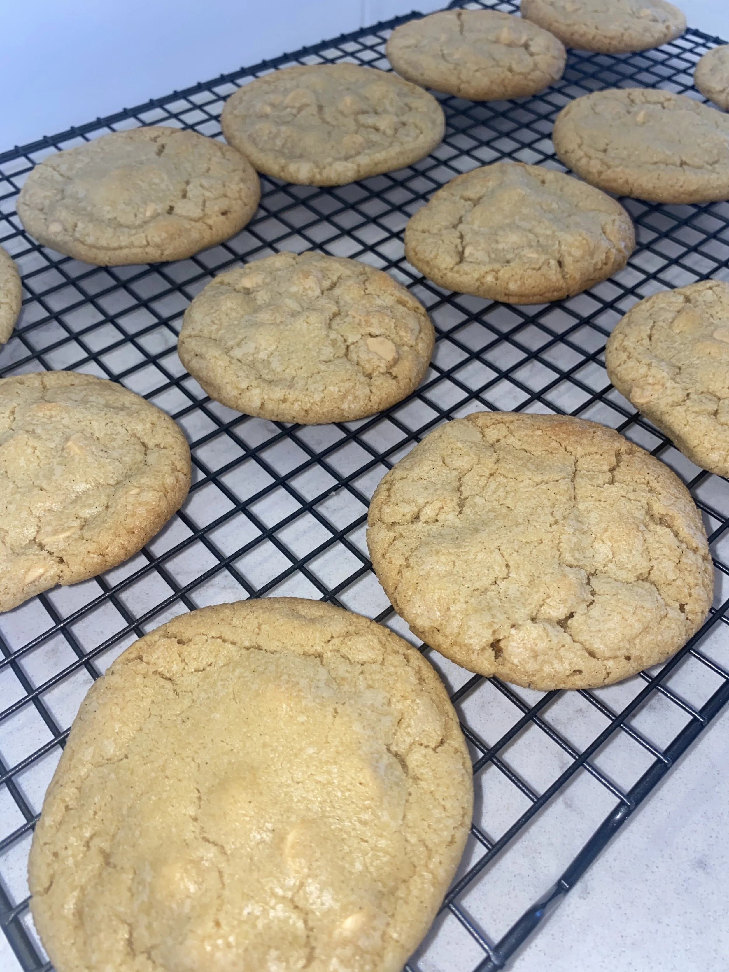 Daniella Mendicino - Cookies.jpeg