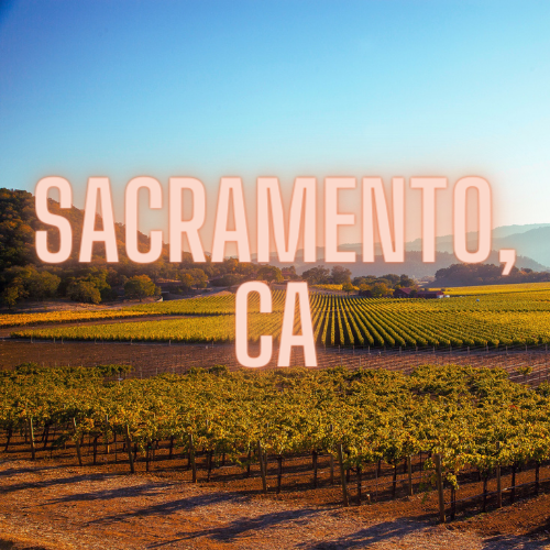 VINEYARD RV PARK
