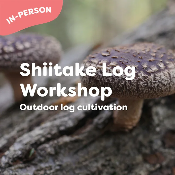 Mushroom Log Making Workshop