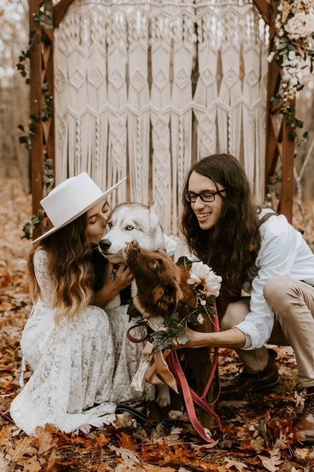 Couple with dogs in front of decorated wedding backdrop, outdoors with fallen autumn leaves in Cloudland Canyon State Park for their elopement.