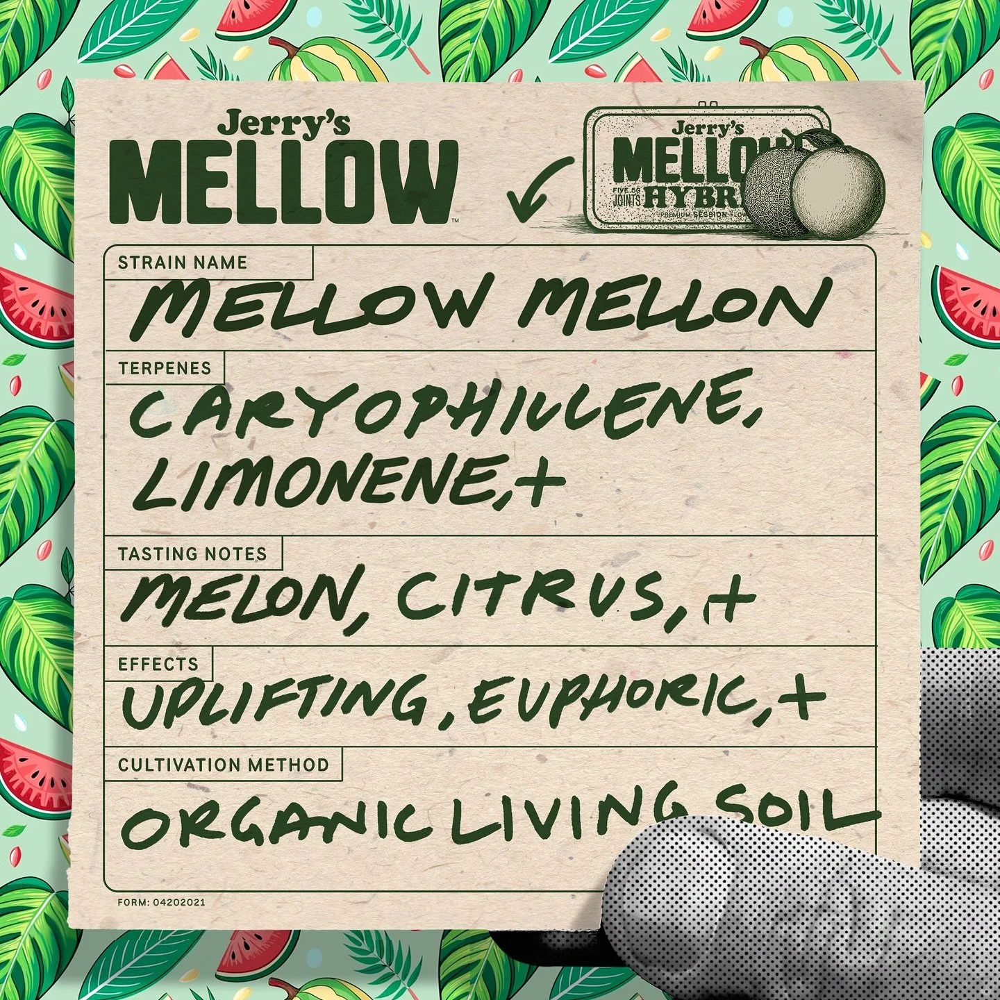 Many of you have tried our limited run, but here&rsquo;s the formal introduction before it leaves the building: Mellow Mellon 🍈 &mdash; bursting with honeydew-melon sweetness, tropical citrus zest, and subtle floral layers. Grown in organic living s