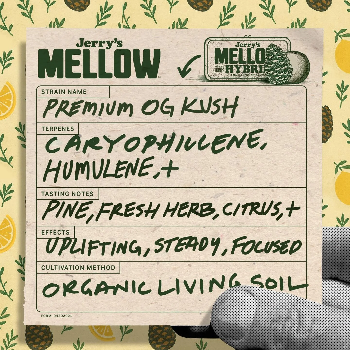 We&rsquo;re bringing our Premium OG Kush to shelves now. A sure-win classic with a steady, clear unwind. Relaxed enough to settle in, clear enough to stay present,
and just the right lift to carry you through your day or night.
#jerrysmellowgoods #je