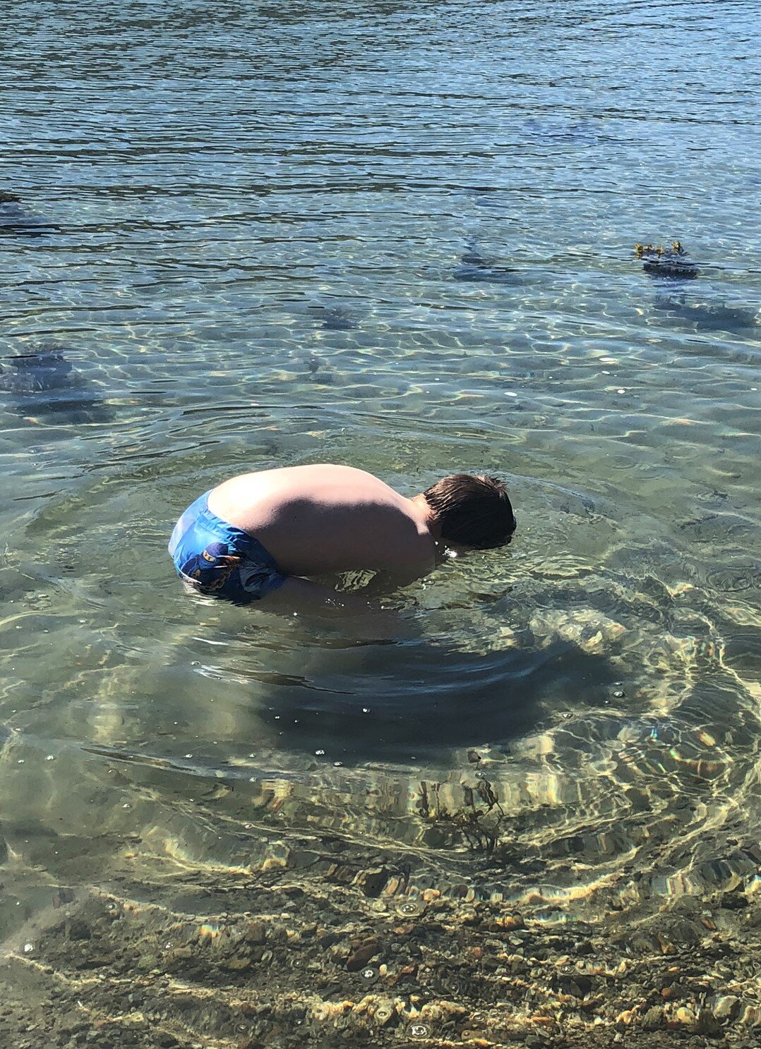 Sommar 2020 2.jpeg