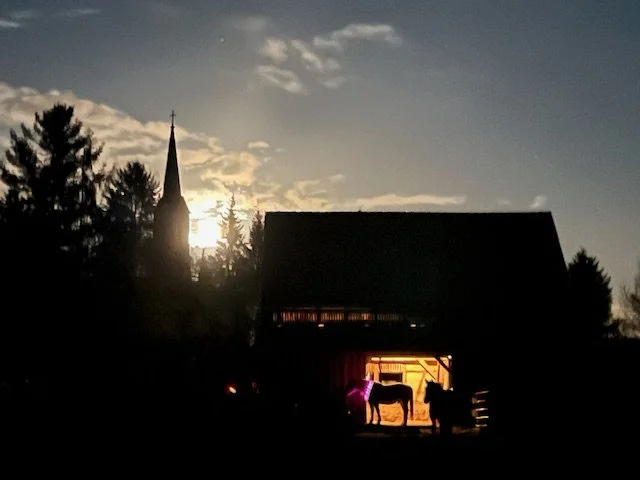 weihnachtsstall 24.jpg