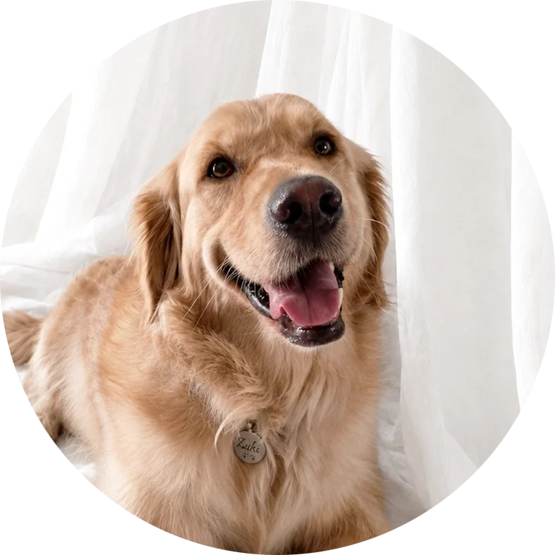 Employee of the month, every month, Zuki