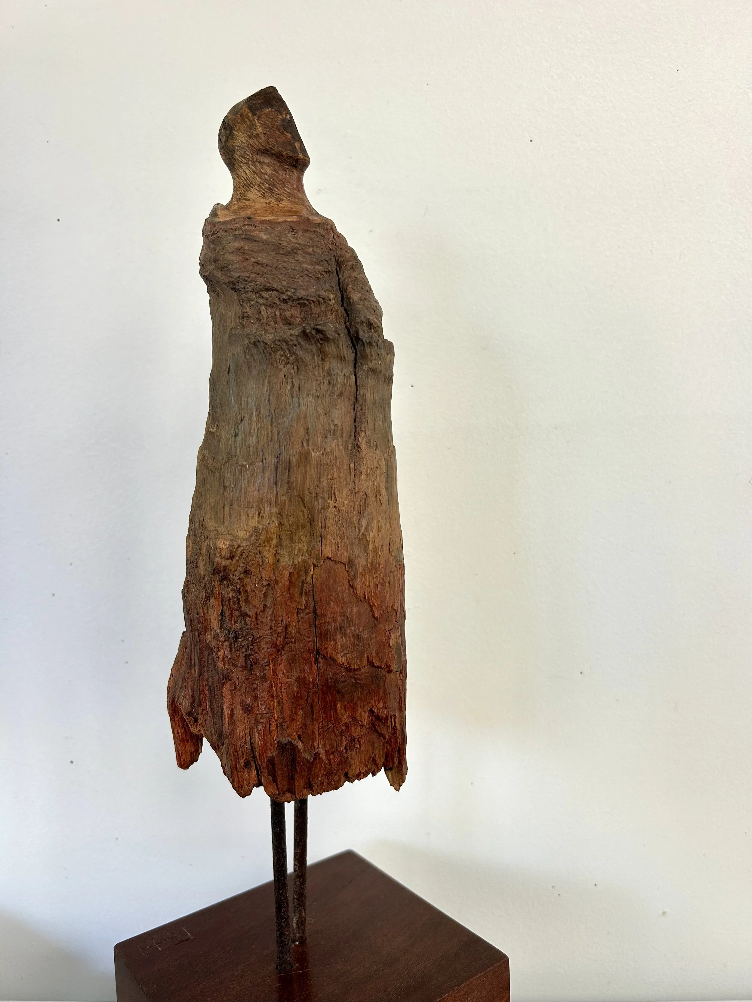 Standing strong. Scotts pine and pigments.