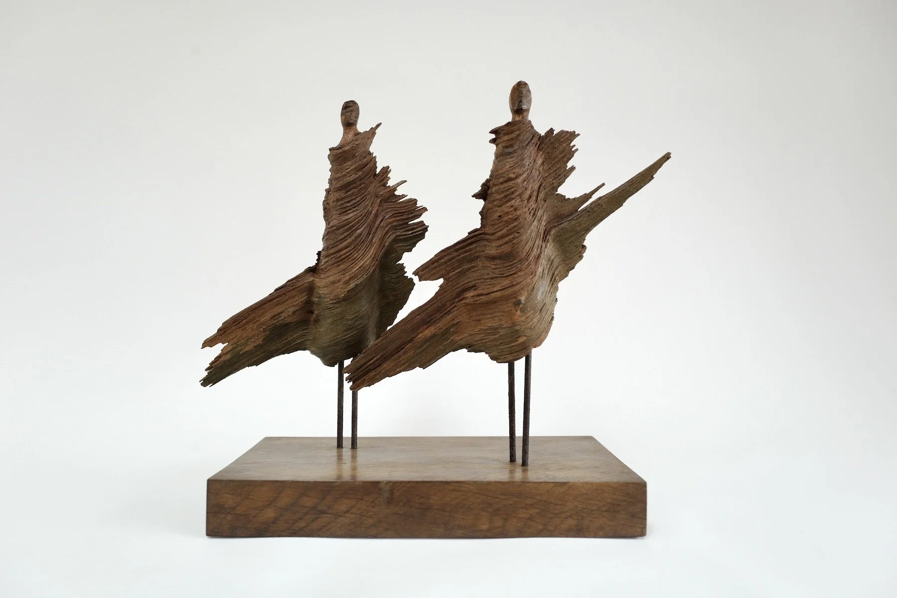 Nomadic couple. Scots pine.