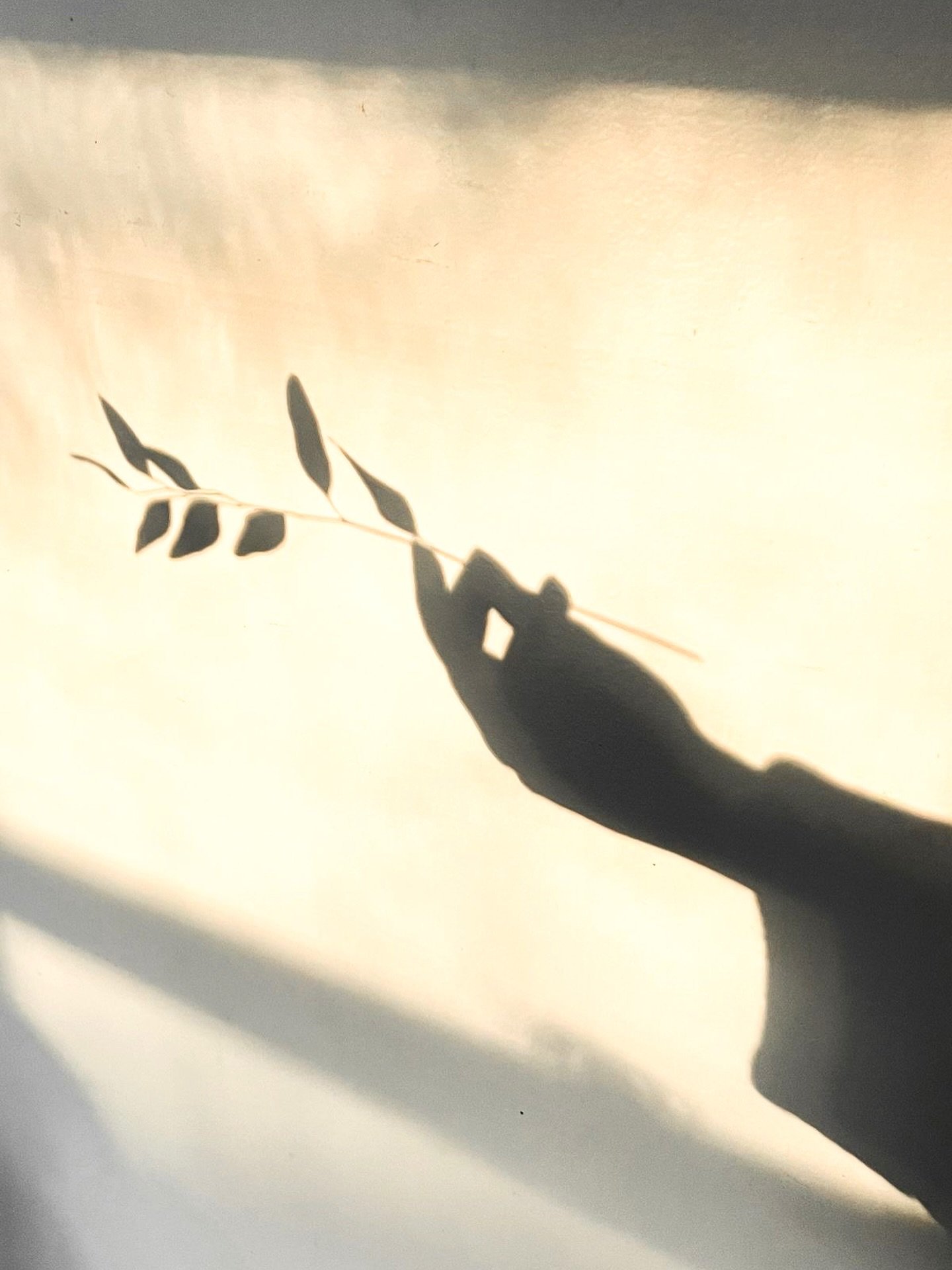 ✨ Et si l&rsquo;exp&eacute;rience int&eacute;rieure &eacute;tait notre meilleur guide ?

Lorsque mes clients d&eacute;couvrent la sophrologie, ils s&rsquo;&eacute;tonnent souvent de tout ce que cette pratique r&eacute;v&egrave;le d&rsquo;eux-m&ecirc;