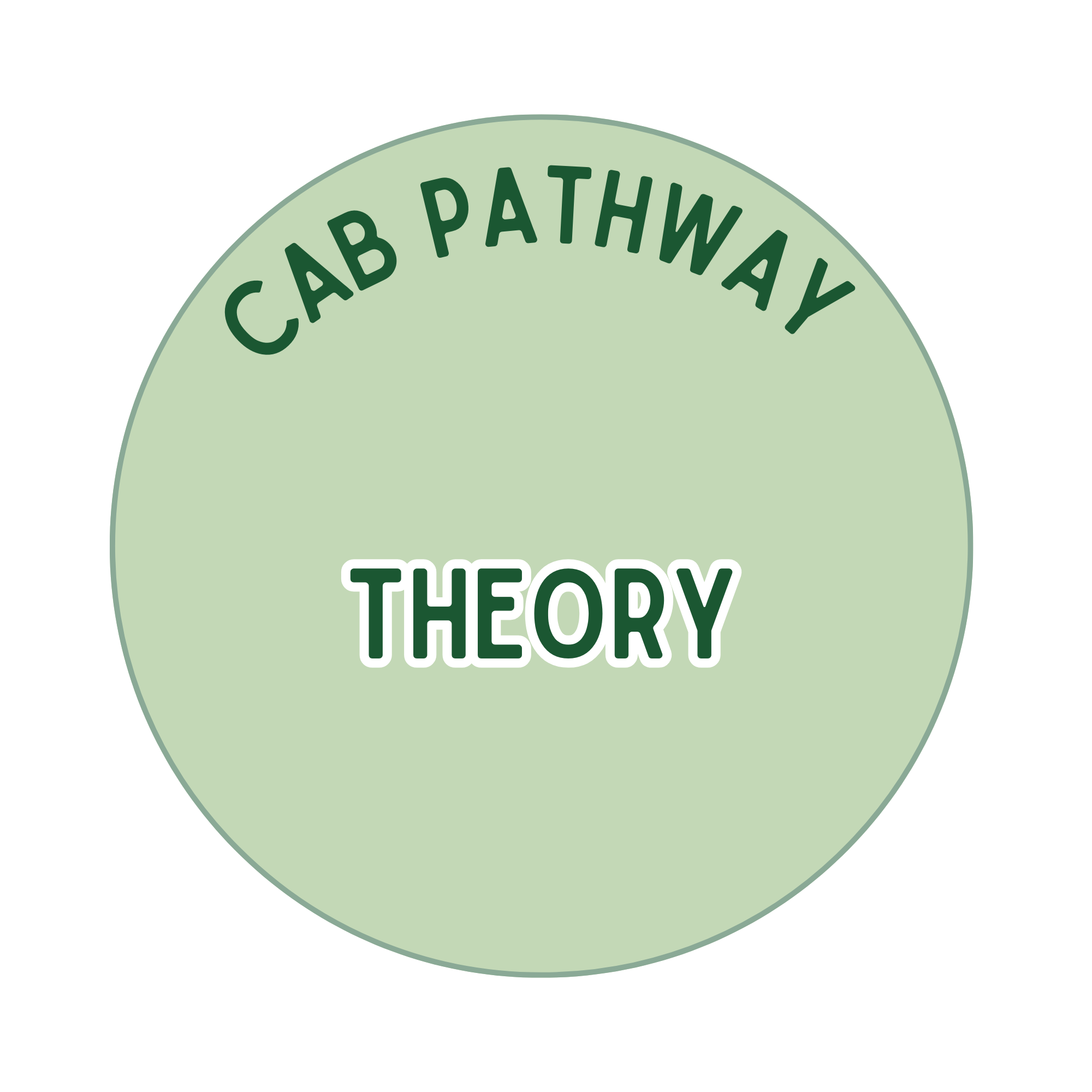 WEBSITE PACT Assessment Pathway 2025 flow v2 (13).png