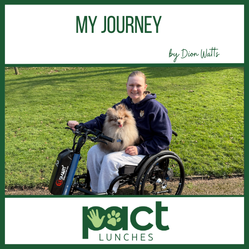 My journey