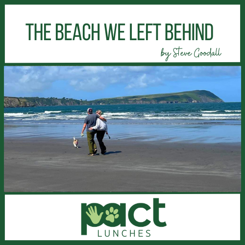 The Beach We Left Behind