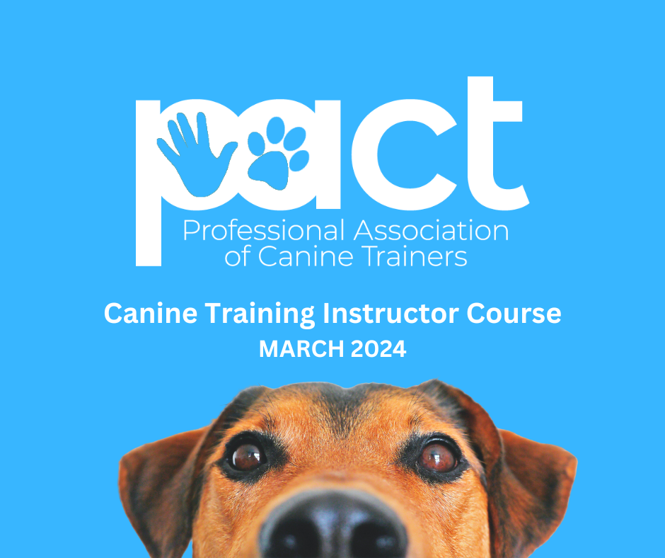 an accredited and formally recognised Dog Trainer