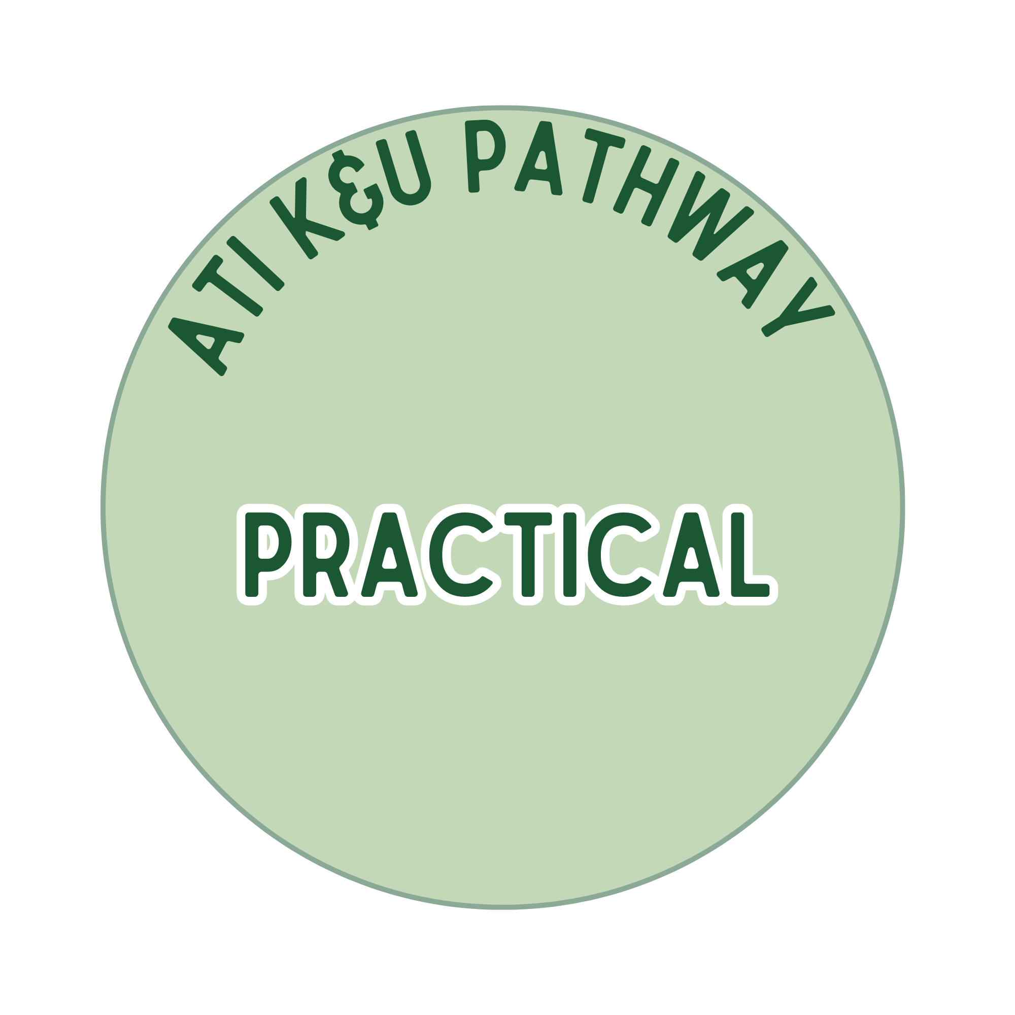 WEBSITE PACT Assessment Pathway 2025 flow v2 (16).png