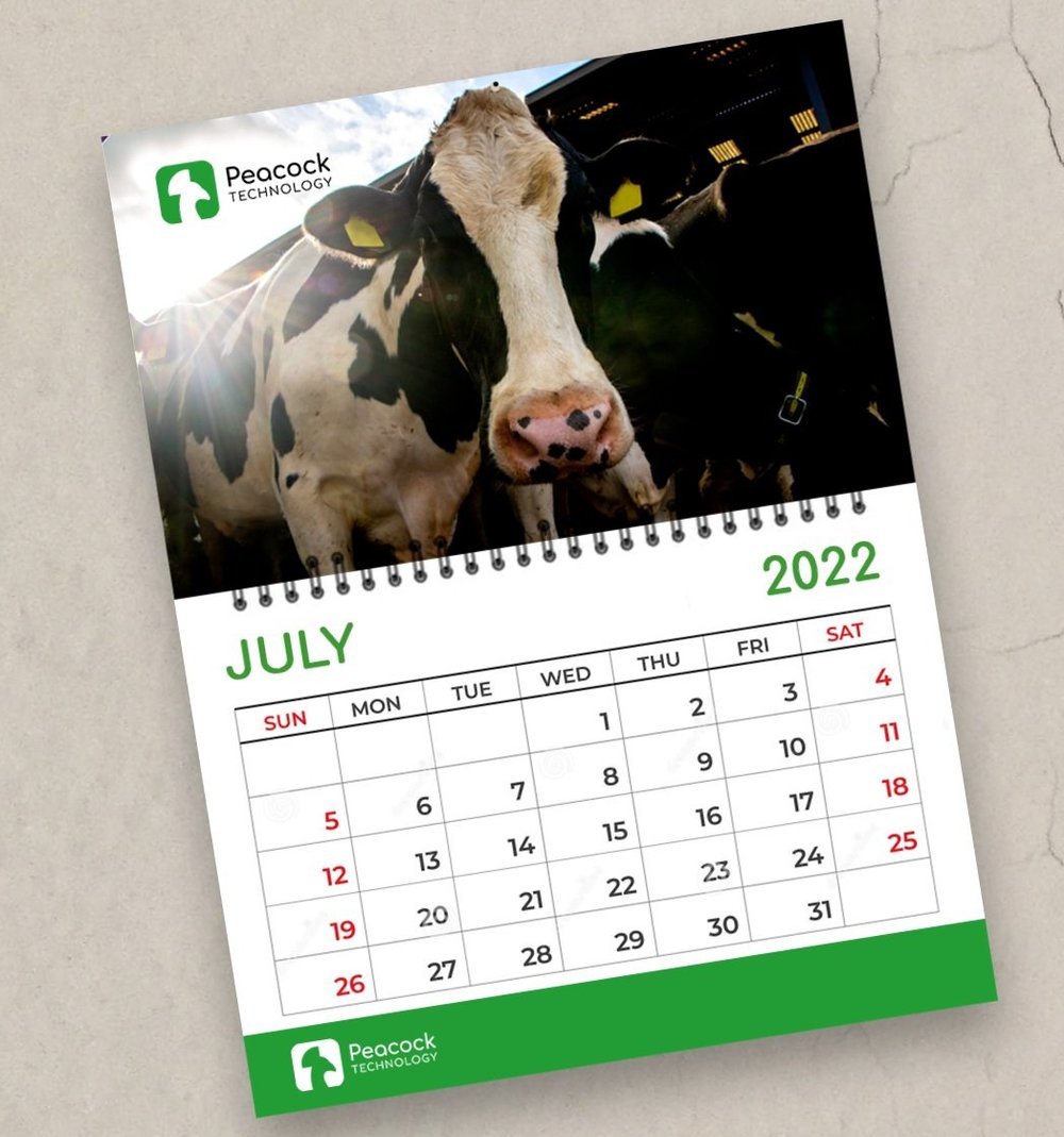 Cow Calendar August 2023 Contact 1 — Peacock Technology