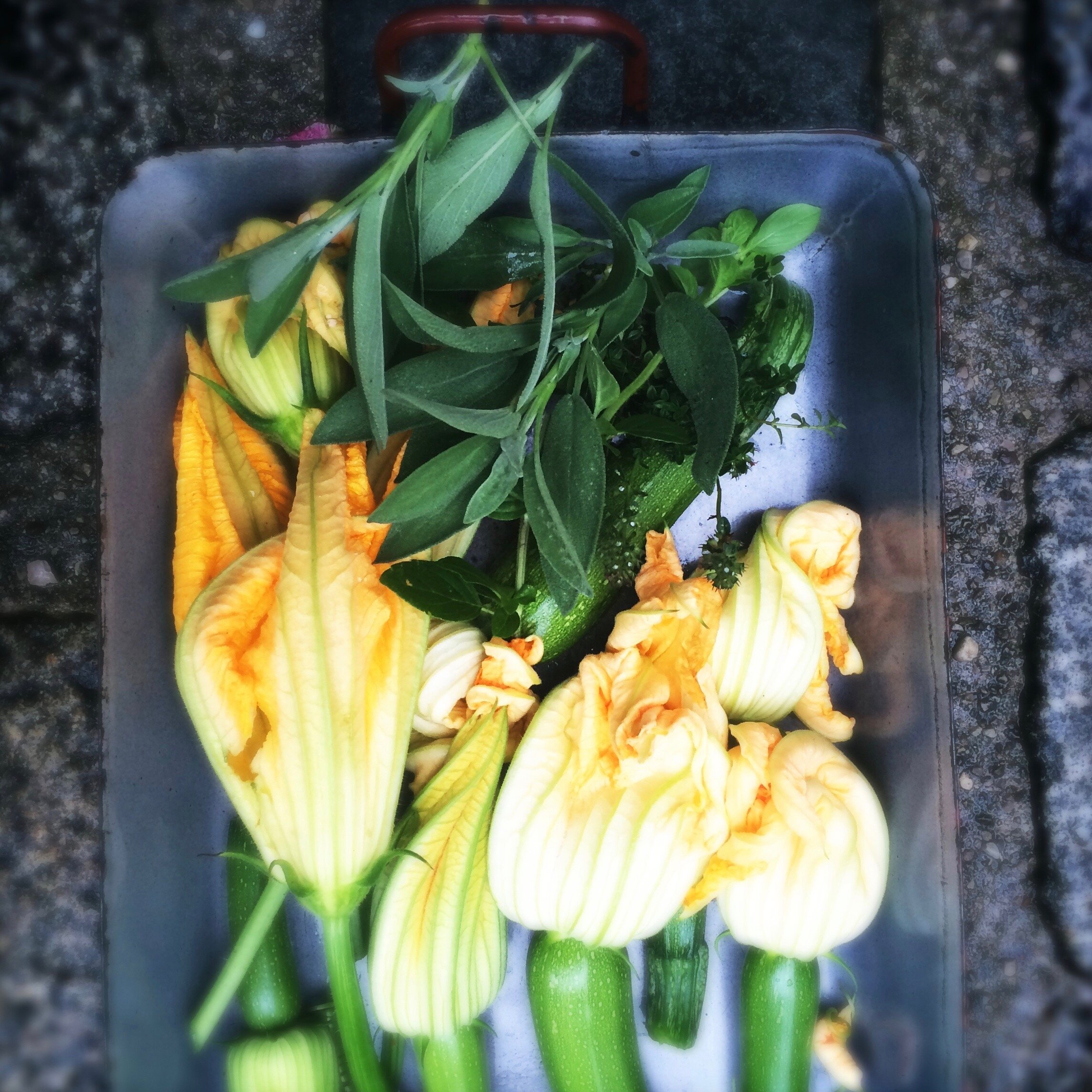 So was Liebes, diese #sommerfrischen Zucchini mit Blüten dran