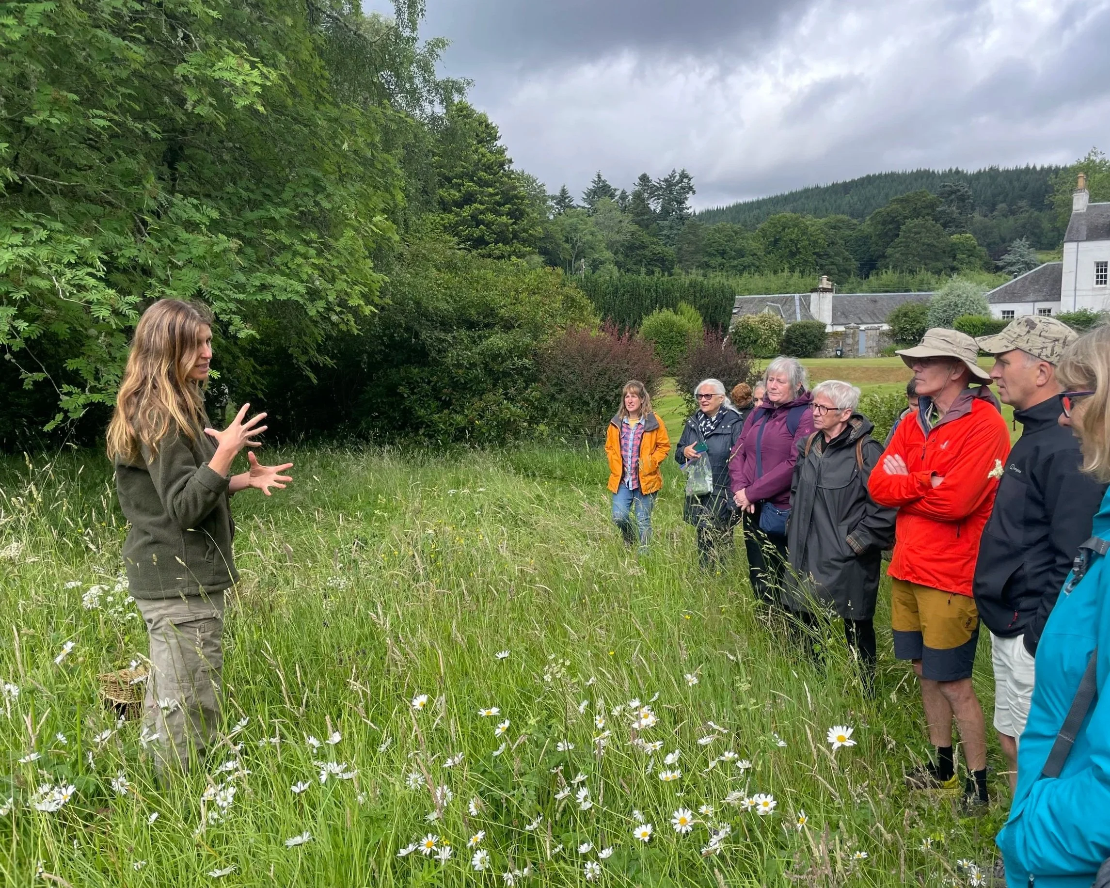 Early Spring Foraging - Arthur's Seat, Edinburgh 