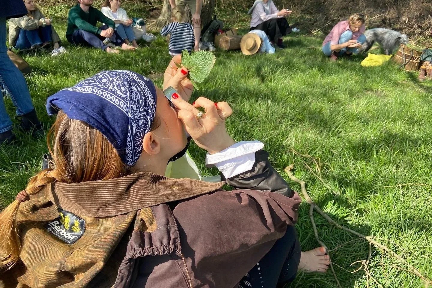 Spring Foraging - Arthur's Seat, Edinburgh