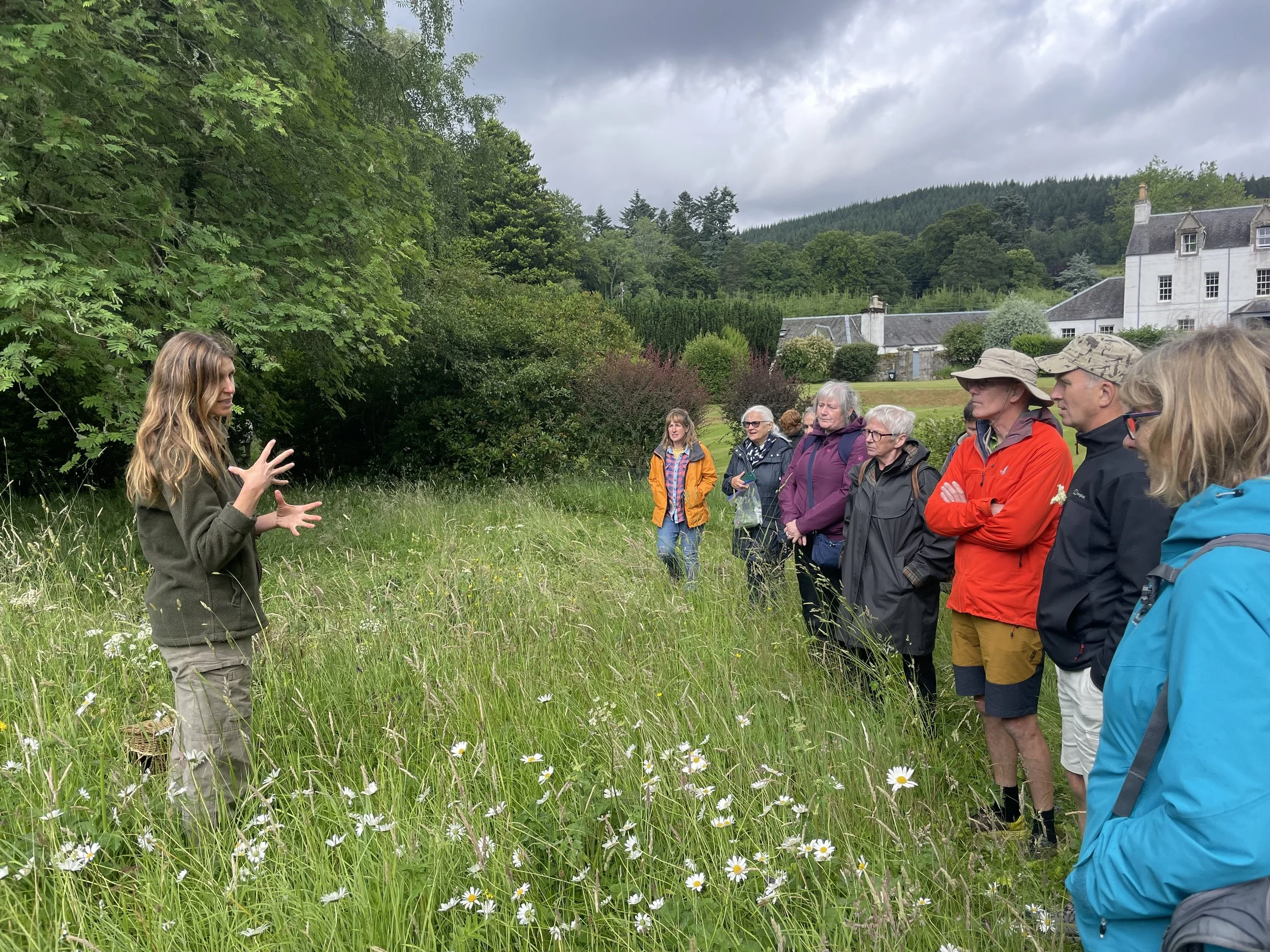 Spring Foraging - Arthur's Seat, Edinburgh