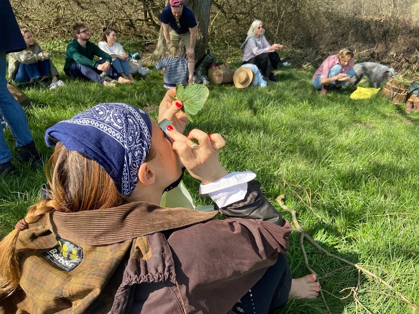 Summer Foraging - Hampstead Heath, London