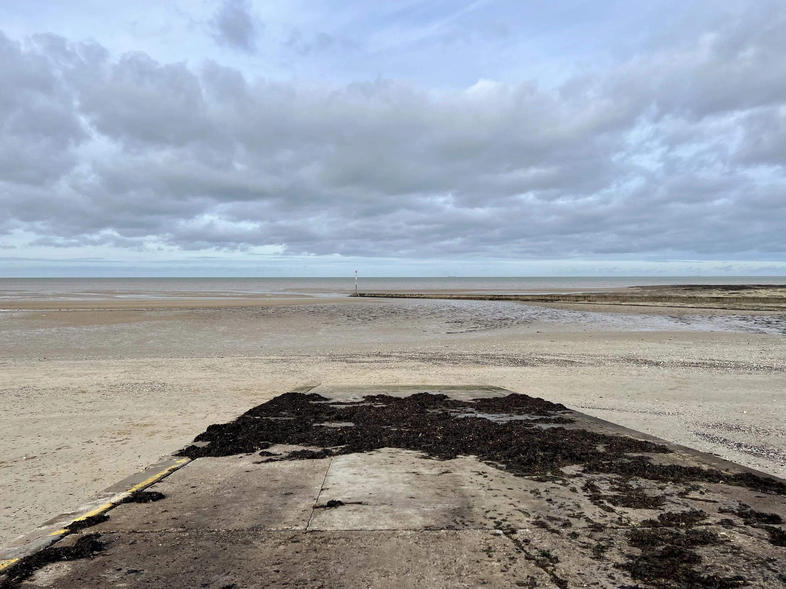 Fish, Chips and Sea