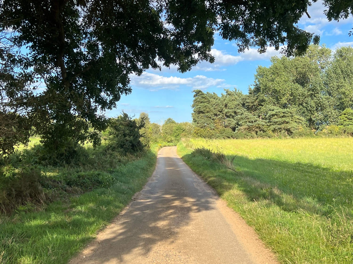 The quiet lanes of Suffolk