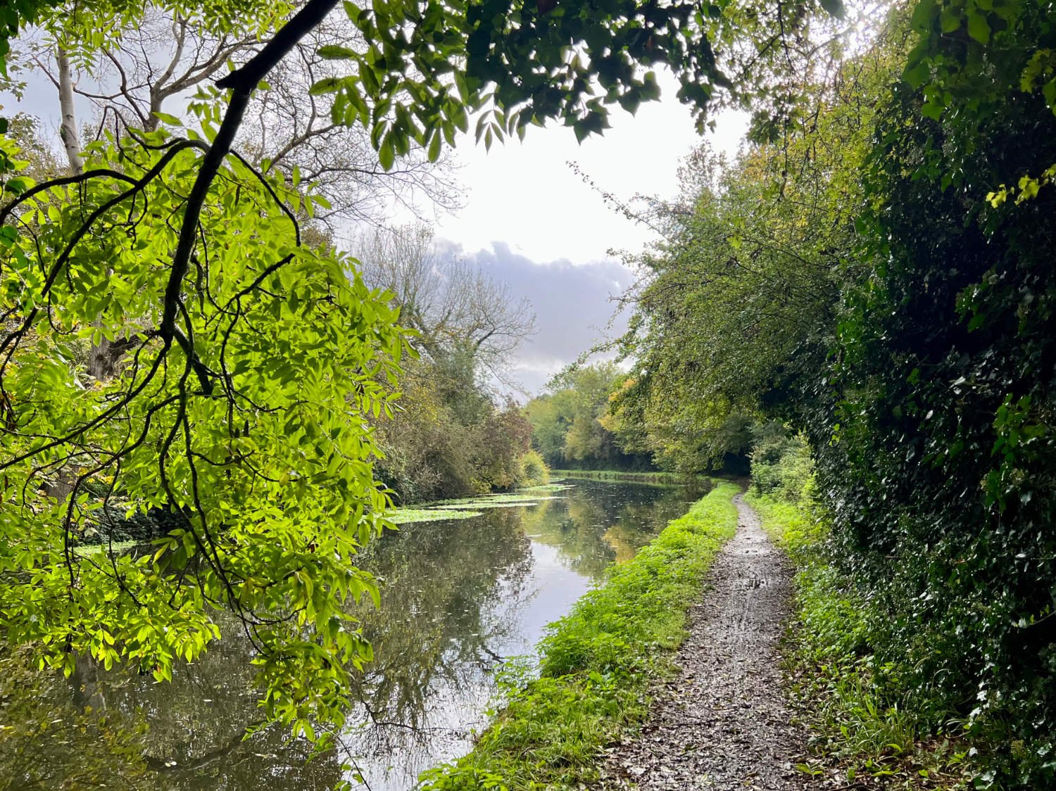 Grand Union Canal