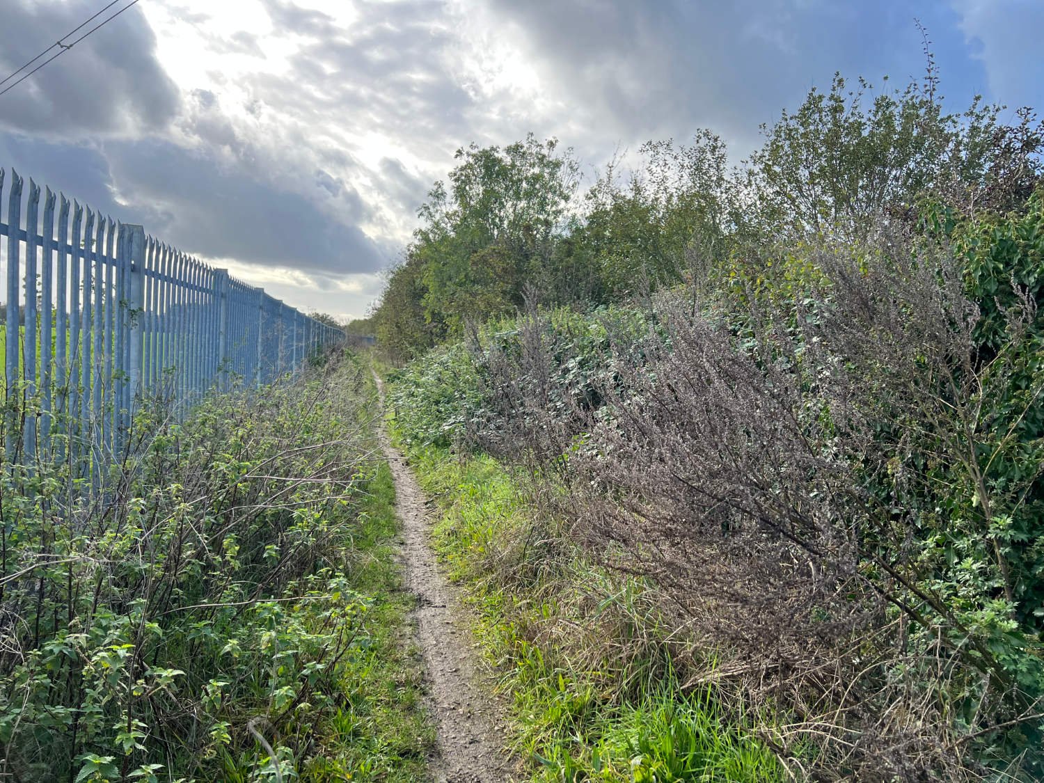 West London singletrack, Staines Moor