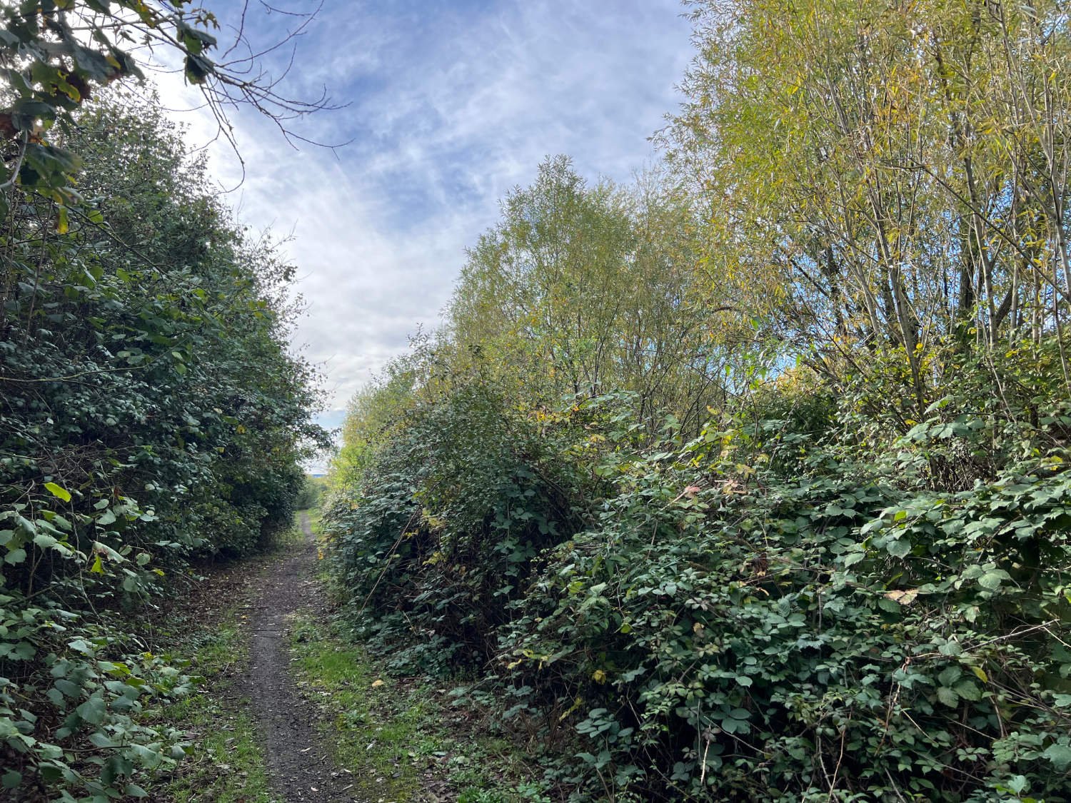 West London Single track, Colnebrook