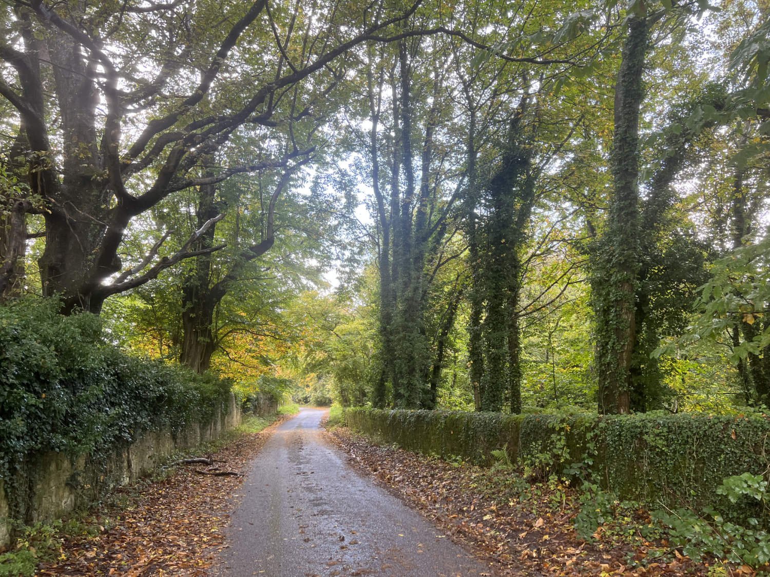 Monument Hill, Petworth Park