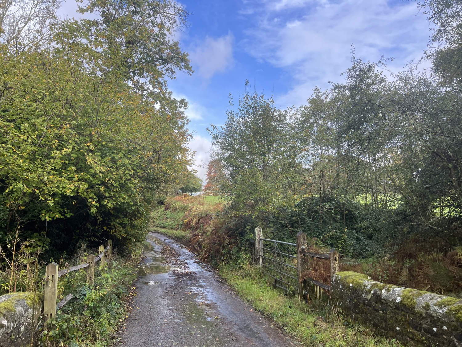 River Lane, Nr. Lodsworth 