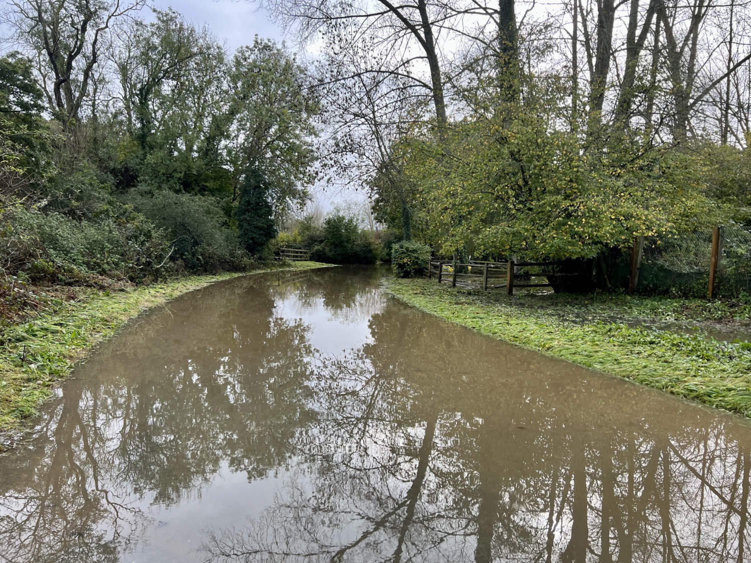 Selham Road and the flooded river Rother 