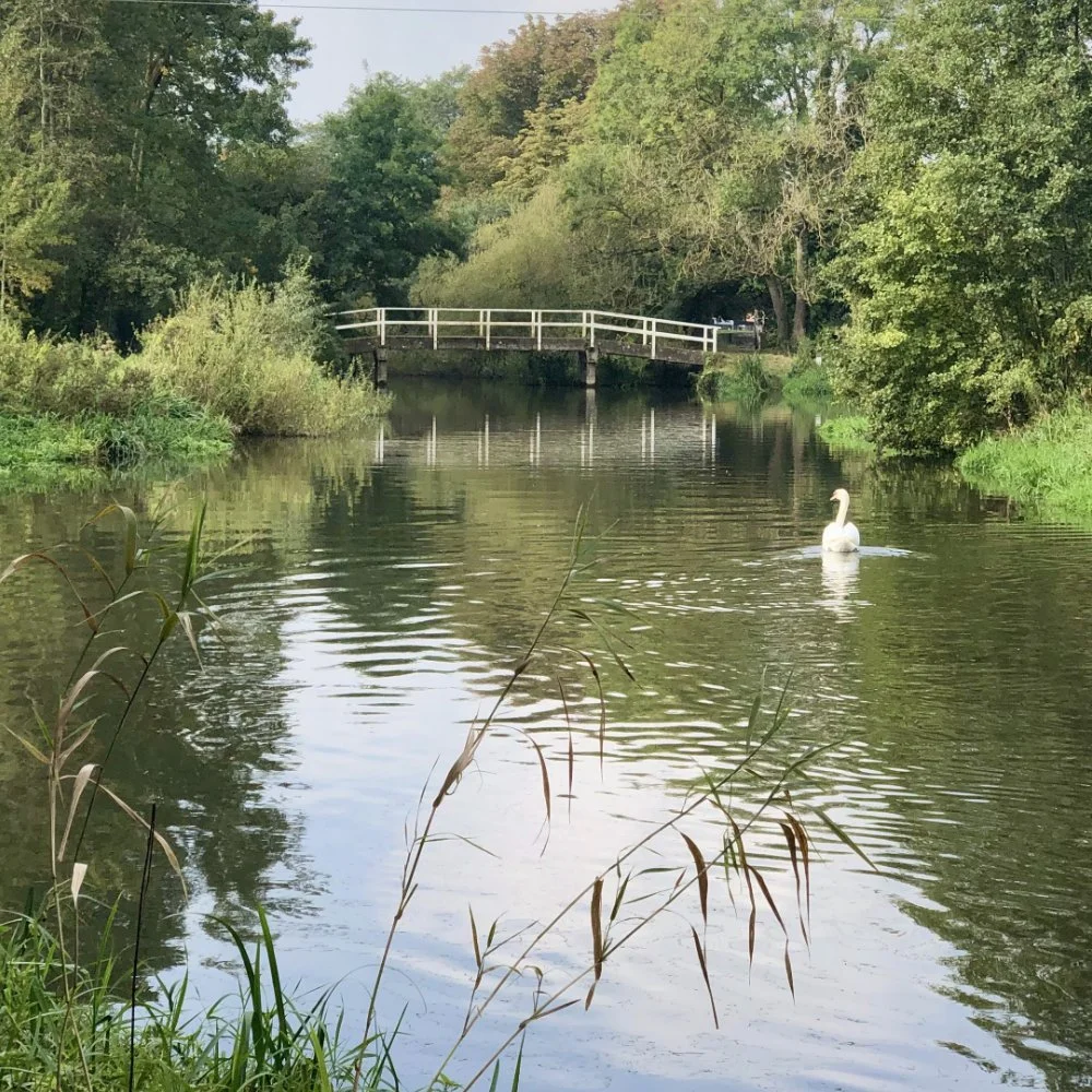 NCN 4 Windsor to Great Bedwyn