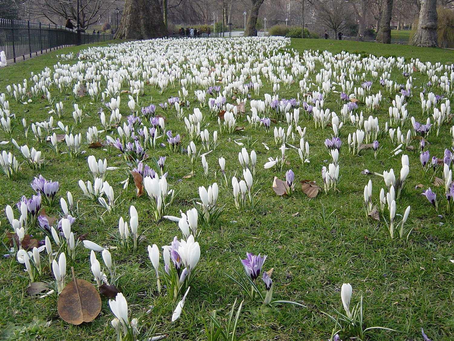 St. James's Park
