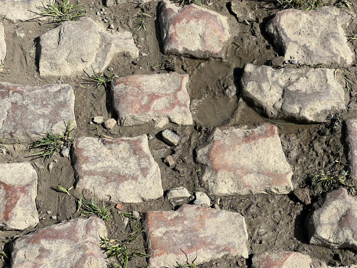 The 'cobbles' (properly called sets) of Roubaix