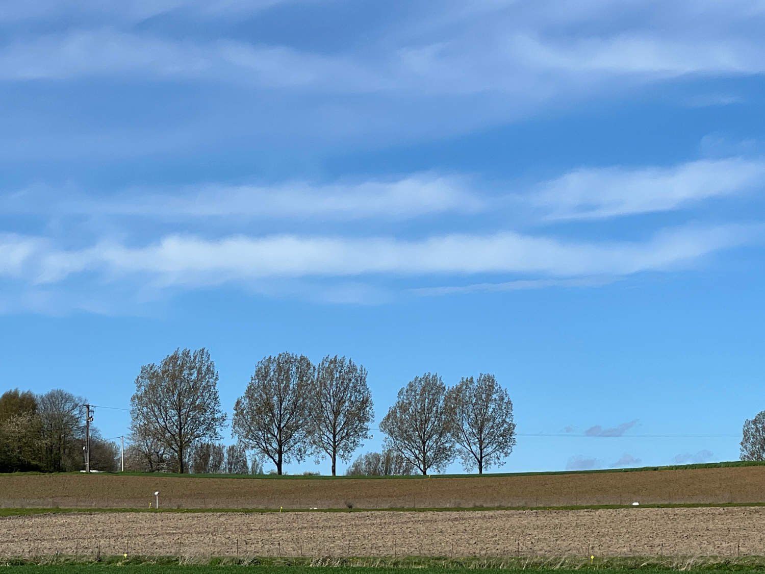 The fields of North-East France