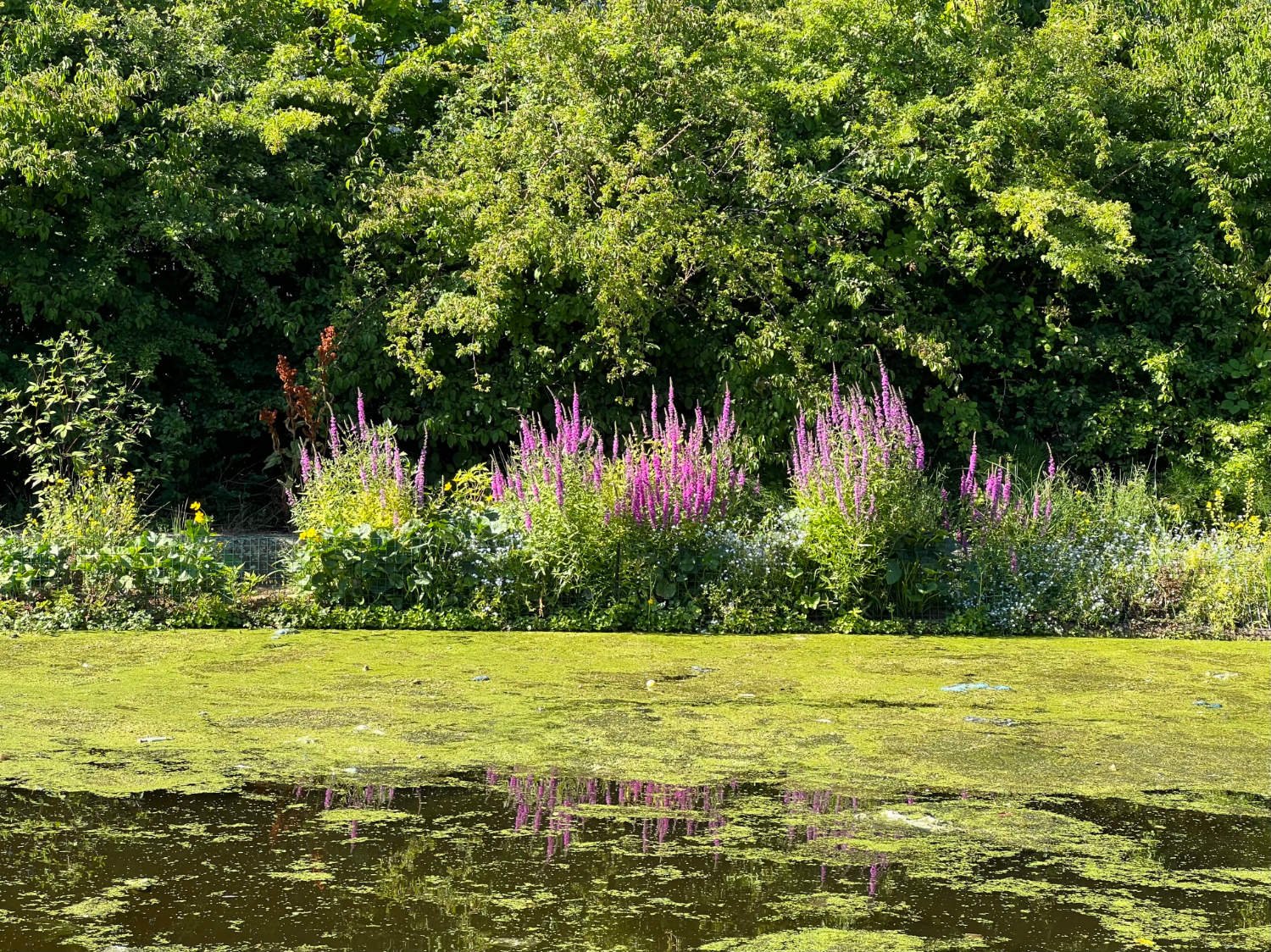 Grand Union Canal