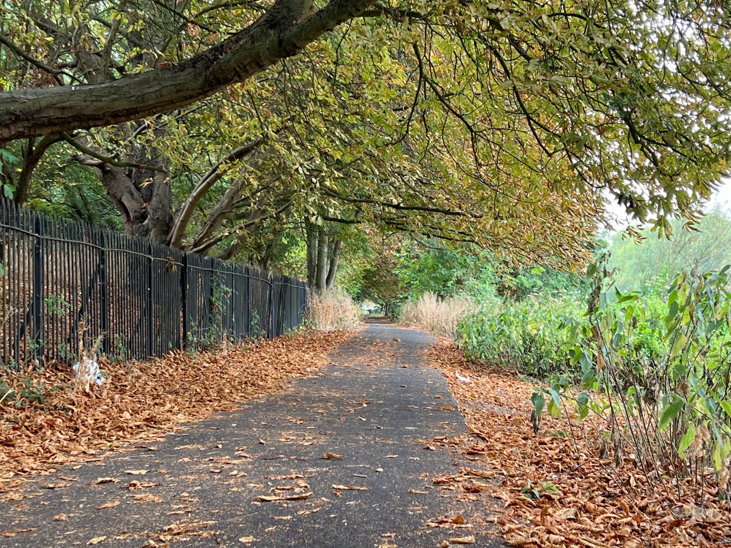 NCN 5 alongside the Thames